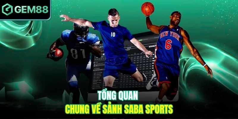 Tổng quan chung về sảnh Saba Sports