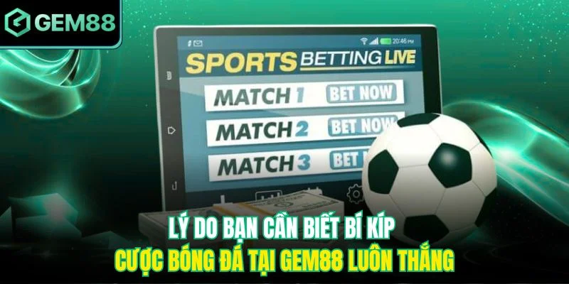 Lý do bạn cần biết bí kíp cược bóng đá tại Gem88 luôn thắng