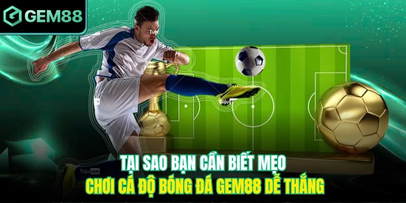 Tại sao bạn cần biết mẹo chơi cá độ bóng đá Gem88 dễ thắng