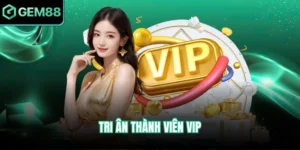 Tri ân thành viên VIP